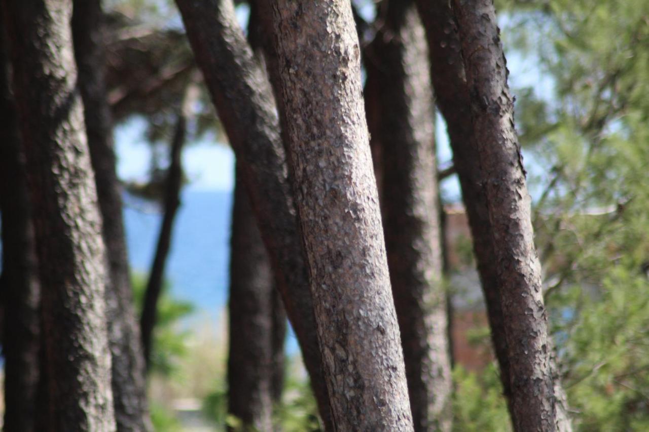 Park Hotel Le Dune Di Giovino Катандзаро Екстериор снимка