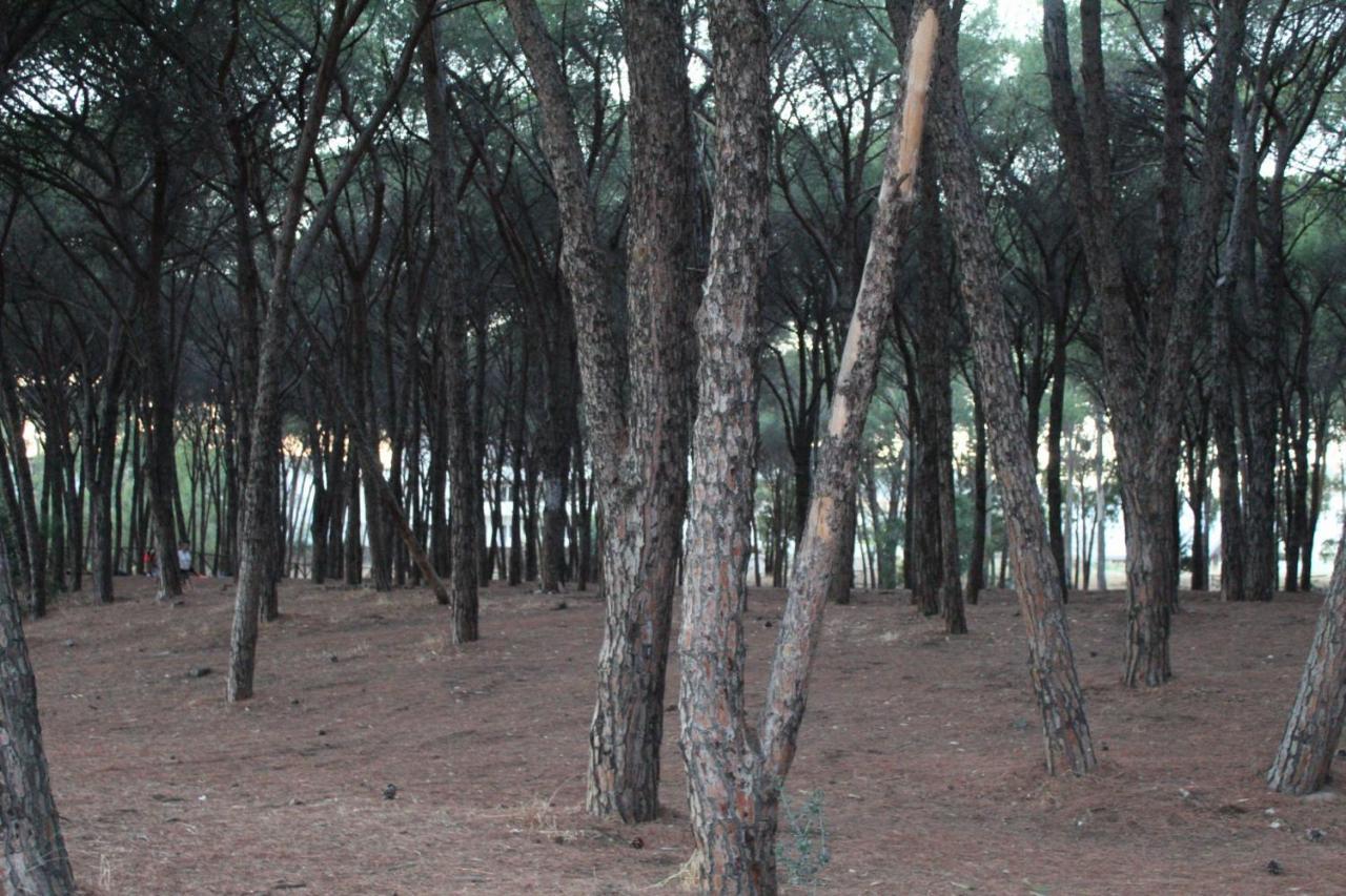 Park Hotel Le Dune Di Giovino Катандзаро Екстериор снимка