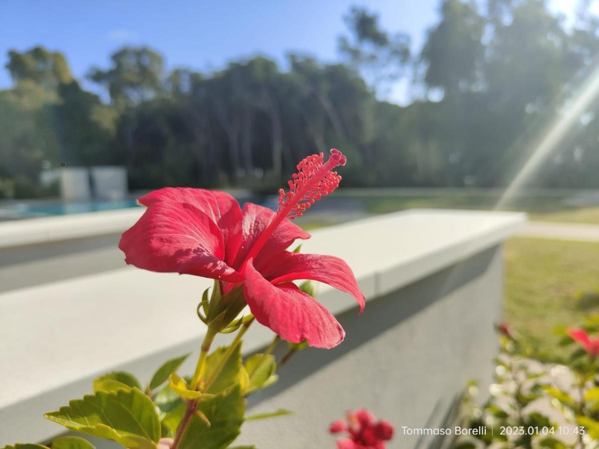 Park Hotel Le Dune Di Giovino Катандзаро Екстериор снимка